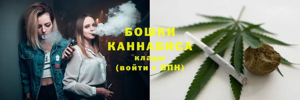 дурь Няндома