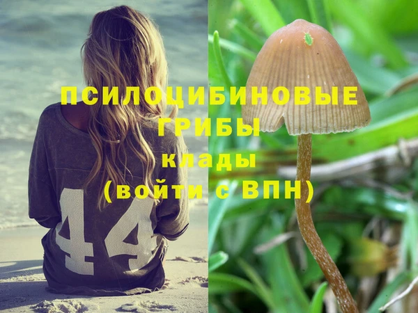 молекула духа Осташков