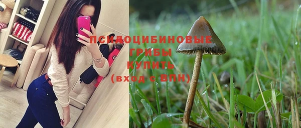 дурь Няндома