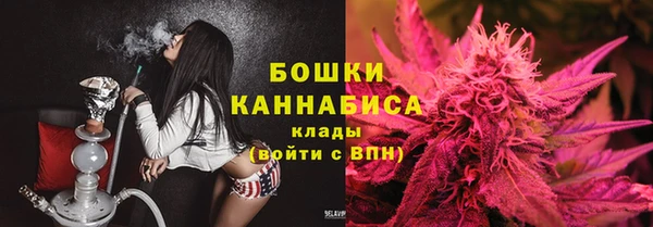 трава Осинники