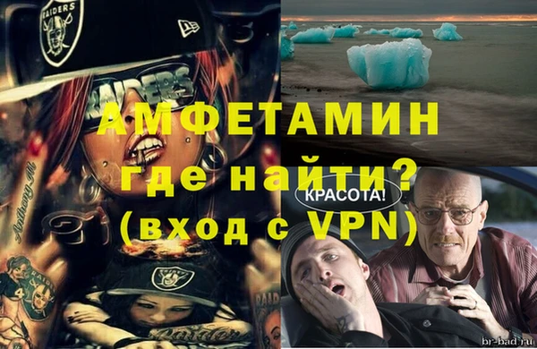 трава Осинники