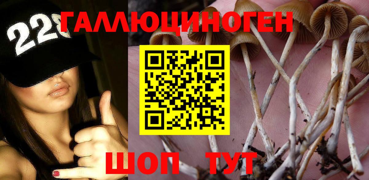 Галлюциногенные грибы мухоморы  Вход с VPN  Крымск 