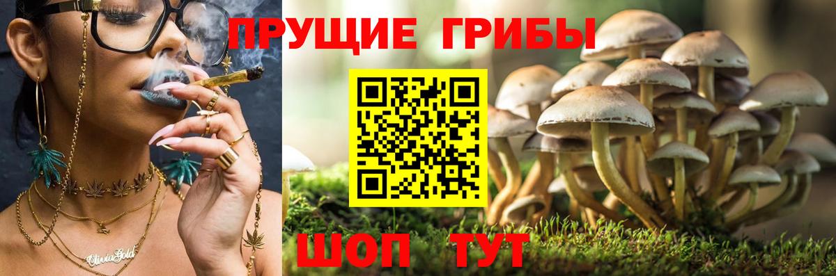 КЕТАМИН Крымск